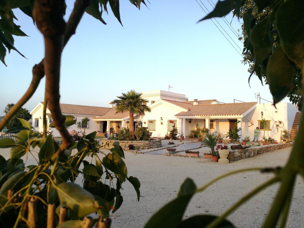 Hotel Casa Fina - Adults Recommended Conil De La Frontera Eksteriør bilde
